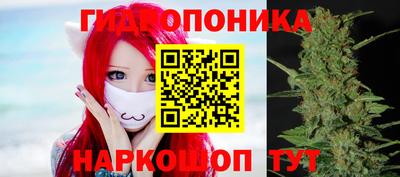 индика Малгобек
