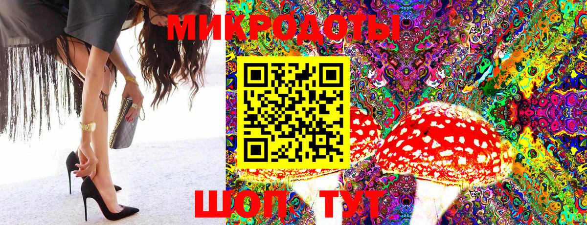 Вышний Волочёк  Галлюциногенные грибы MAGIC MUSHROOMS  Вход с VPN 